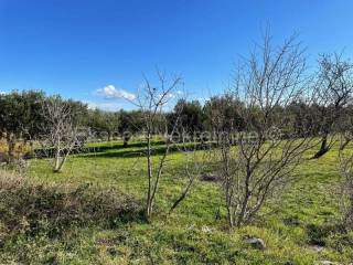 Gradjevinsko zemljiste, Prodaja, Kastela, Kastel Sucurac