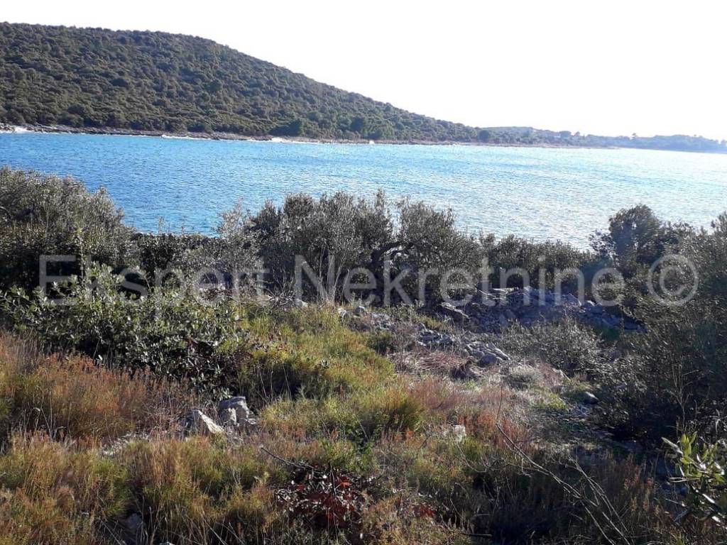 Poljoprivredno zemljiste, Prodaja, Marina, Sevid