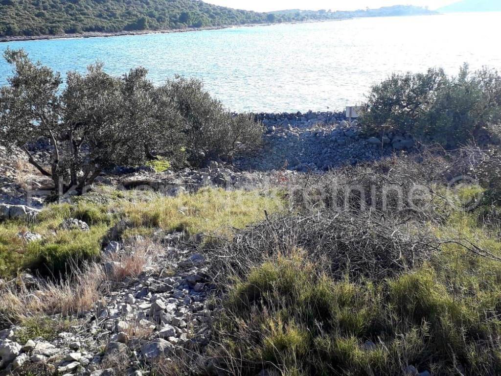 Poljoprivredno zemljiste, Prodaja, Marina, Sevid