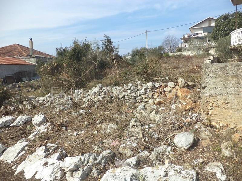 Zemljiste, Prodaja, Marina