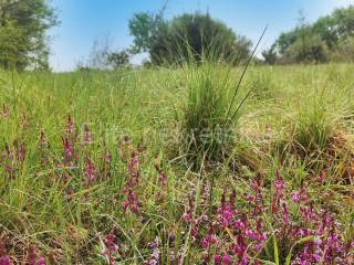 Plot for construction, Sale, Marčana, Loborika