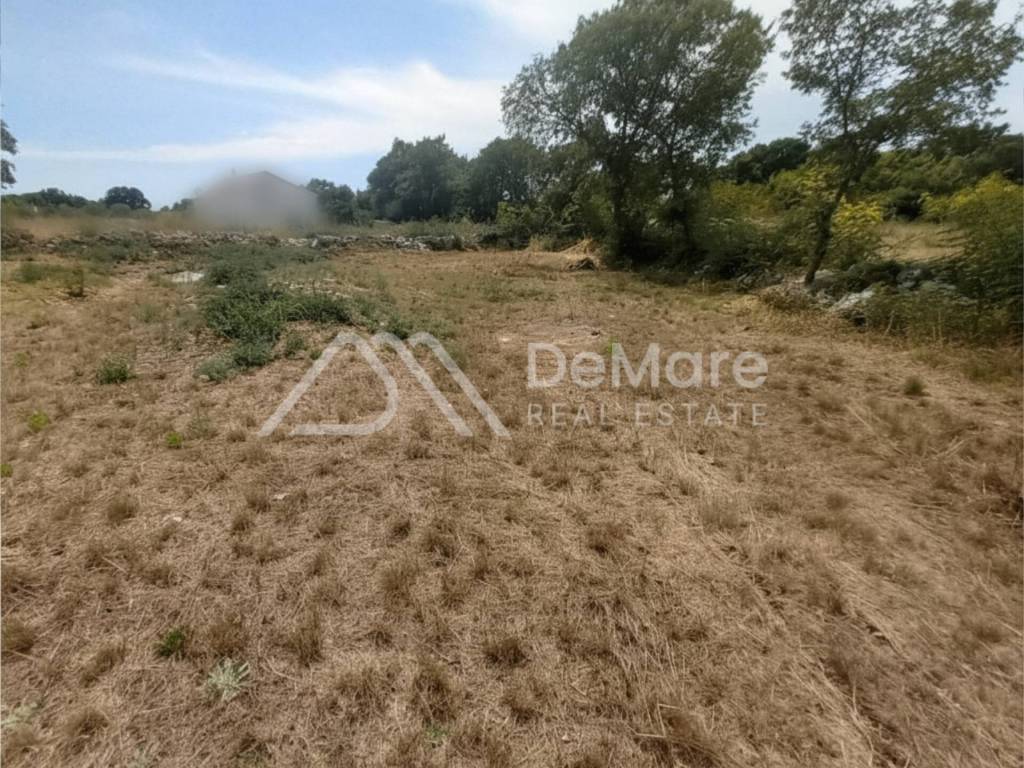 Zemunik donji, Zemunik Donji