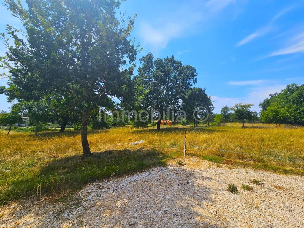 Barban, Glavani