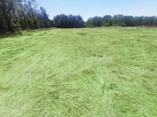 Plot for construction, Sale, Marčana, Loborika