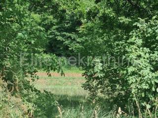 Plot for construction, Sale, Svetvinčenat, Režanci