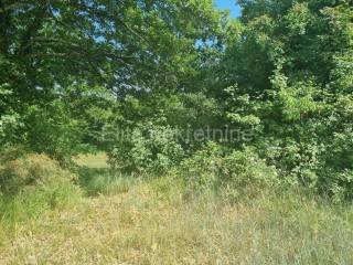 Plot for construction, Sale, Svetvinčenat, Režanci