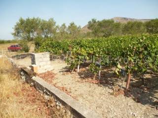 Agricultural land, Sale, Šibenik, Šibenik