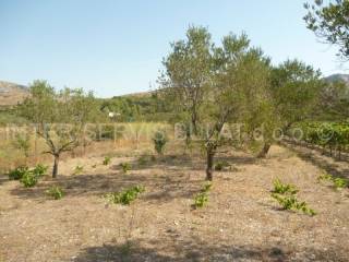 Agricultural land, Sale, Šibenik, Šibenik