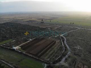 Agricultural plot, Sale, Polača, Kakma