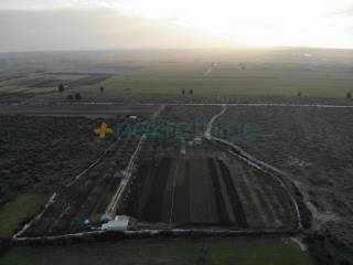 Agricultural plot, Sale, Polača, Kakma