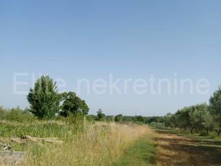 Plot for construction of mixed-use property, Sale, Svetvinčenat, Smoljanci