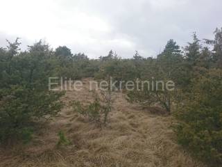 Agricultural plot, Sale, Matulji, Lipa