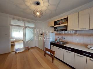 House with apartments, Sale, Plitvička jezera, Korenica