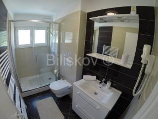 Luxury villa, Sale, Okrug, Okrug Gornji