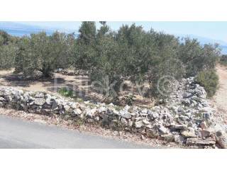 Plot for construction, Sale, Šolta, Nečujam
