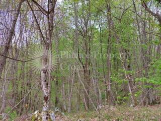 Industrial land plot, Sale, Plitvička jezera, Smoljanac