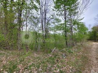 Industrial land plot, Sale, Plitvička jezera, Smoljanac