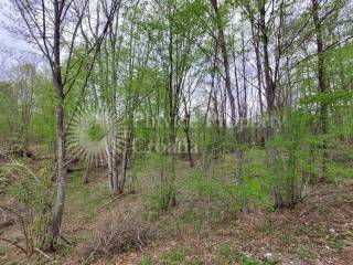 Industrial land plot, Sale, Plitvička jezera, Smoljanac
