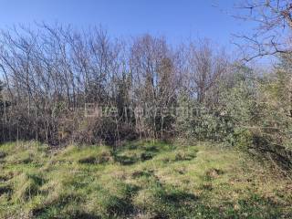 Plot for construction, Sale, Marčana, Rakalj
