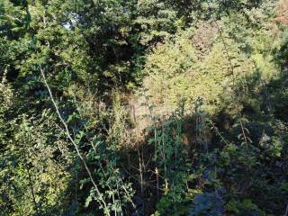 Plot for construction, Sale, Matulji, Matulji