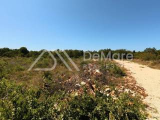 Baricevici kod Murvice