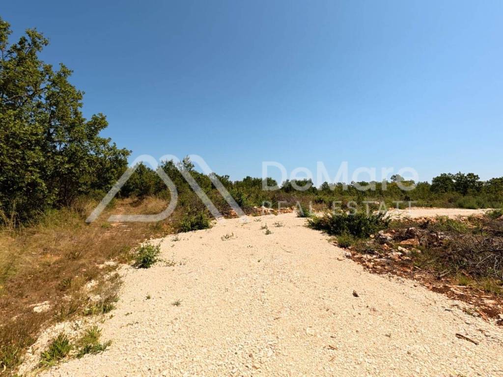 Baricevici kod Murvice, Zadar