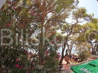 Samostojeca, Prodaja, Makarska, Makarska