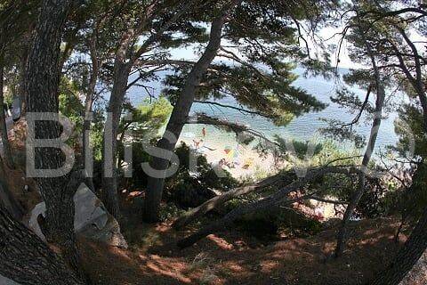 Samostojeca, Prodaja, Makarska, Makarska