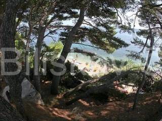 Samostojeca, Prodaja, Makarska, Makarska