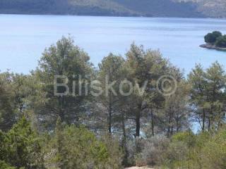 Forest, Sale, Stari grad, Rudina