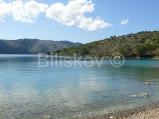 Forest, Sale, Stari grad, Rudina
