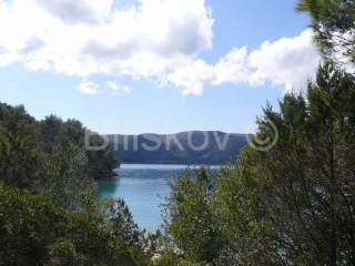 Forest, Sale, Stari grad, Rudina
