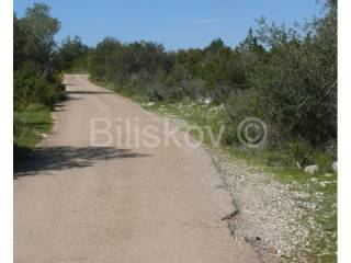 Forest, Sale, Stari grad, Rudina