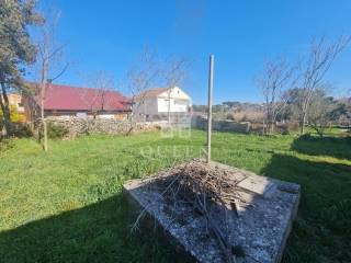 Family house, Sale, Vir, Vir