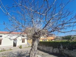 Family house, Sale, Vir, Vir