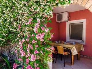 House with apartments, Sale, Vir, Vir