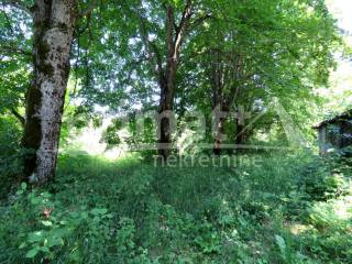 , Sale, Saborsko, Begovac