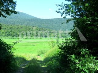 , Sale, Saborsko, Begovac