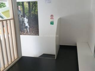 Store, Rent, Rijeka, Centar