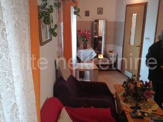Detached house, Sale, Buje, Buje