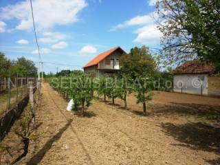 House, Sale, Vukovar