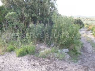 Agricultural land, Sale, Šibenik, Šibenik