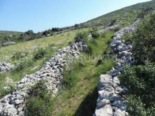 Agricultural plot, Sale, Šibenik - Okolica, Zaton