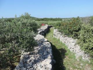 Agricultural plot, Sale, Šibenik - Okolica, Zaton