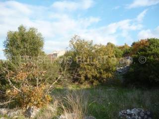 Agricultural land, Sale, Šibenik, Šibenik
