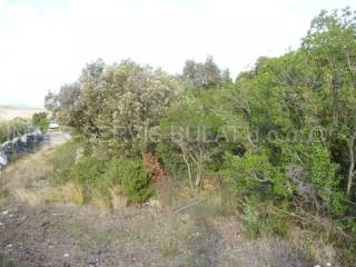 Agricultural land, Sale, Šibenik, Šibenik