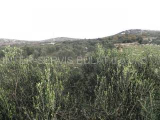 Land, Sale, Šibenik