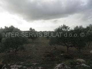 Land, Sale, Šibenik