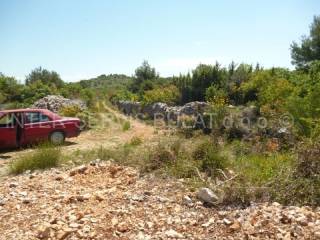 Agricultural land, Sale, Vodice, Vodice