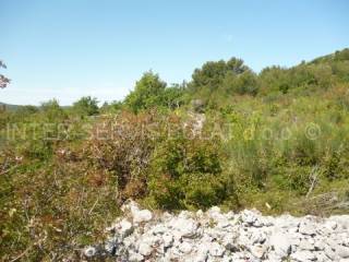 Poljoprivredno, Prodaja, Vodice, Vodice